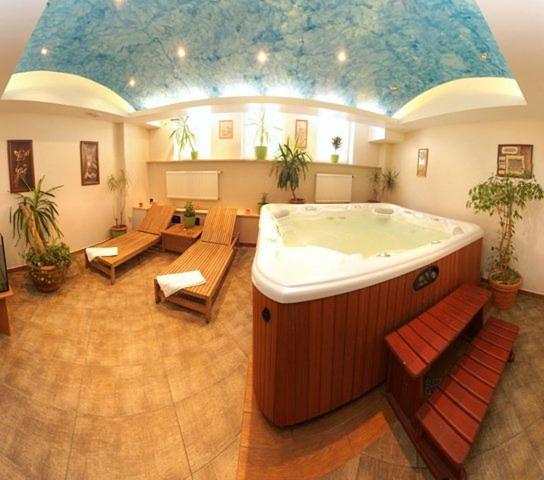 Hotel Wiktoria Шклярська Поремба Екстер'єр фото